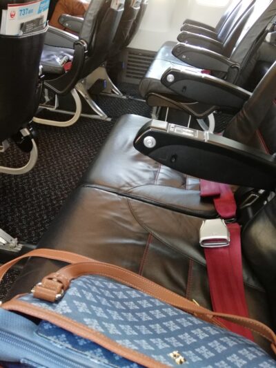 JAL機の機内シート席
